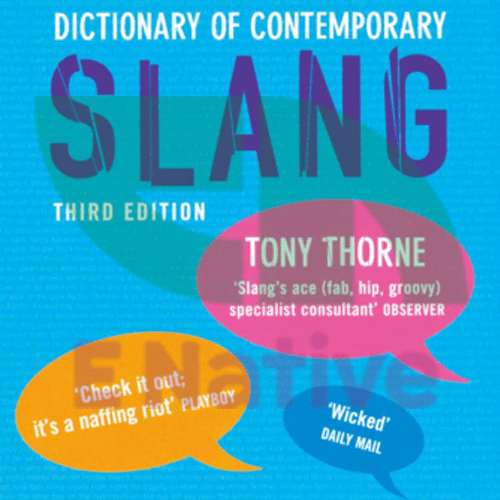 دانلود کتاب Dictionary of Contemporary Slang